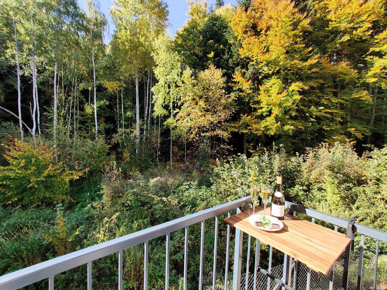 IMG_grun_wald_apartman_marienbad
